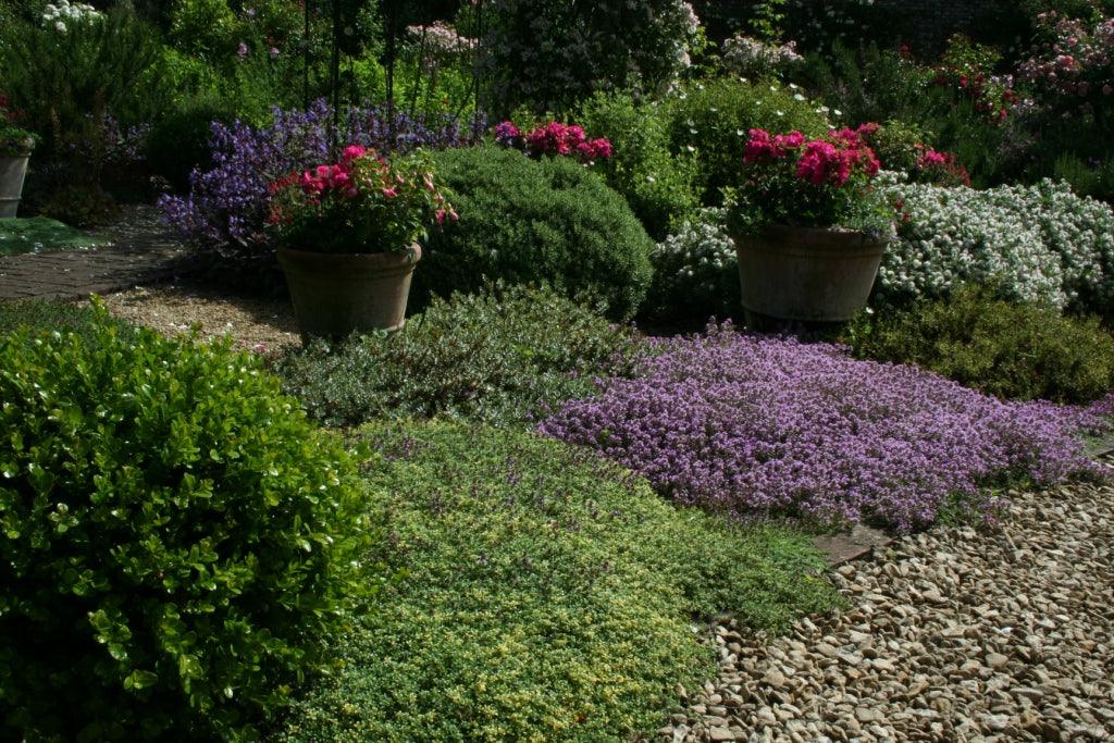Planting for water conservation; gardening in drought conditions