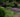 Planting for water conservation; gardening in drought conditions