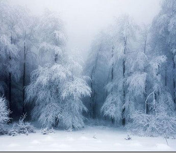 Winter Landscapes