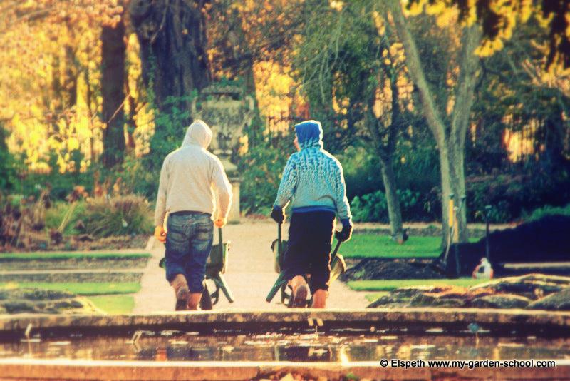 Why The World Needs More Gardening