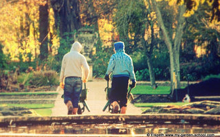 Why The World Needs More Gardening