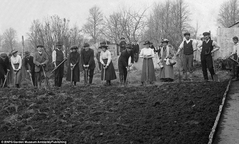 The History of Allotments