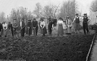The History of Allotments