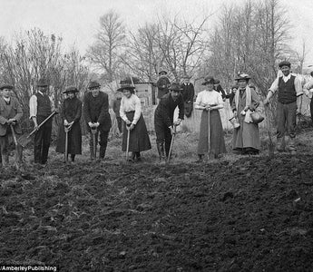 The History of Allotments