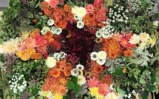 The RHS Autumn Show