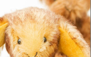 WEEKEND ASSIGNMENT: Restricting Depth of Field