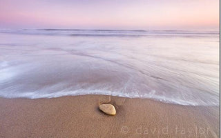 The Decisive Moment: When to Press the Shutter Button