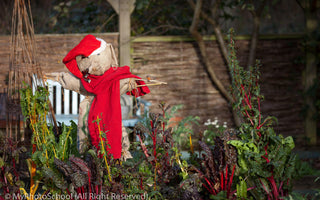Top Ten Last Minute Gardening Gifts for Christmas