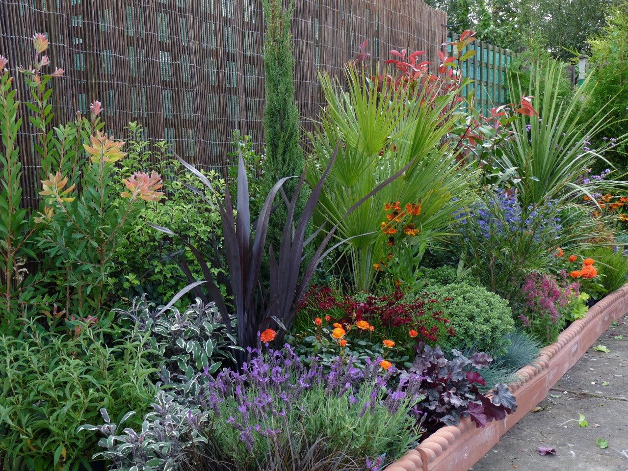 How to plant the perfect border – Gardenonaroll