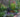 How to plant the perfect border – Gardenonaroll