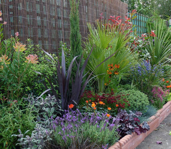 How to plant the perfect border – Gardenonaroll