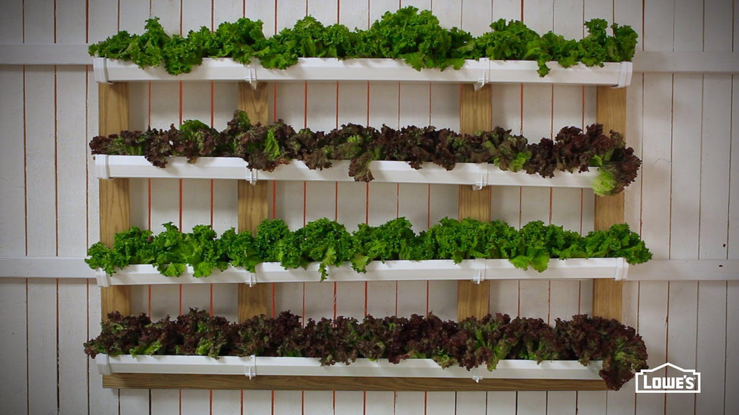 Gutter Gardening