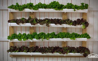 Gutter Gardening