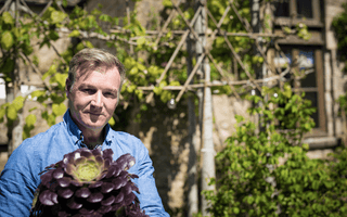REVIEW: Container Gardening with Chris Beardshaw