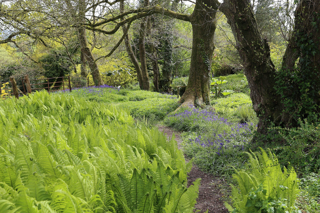 Beautiful Spring Gardens to Visit