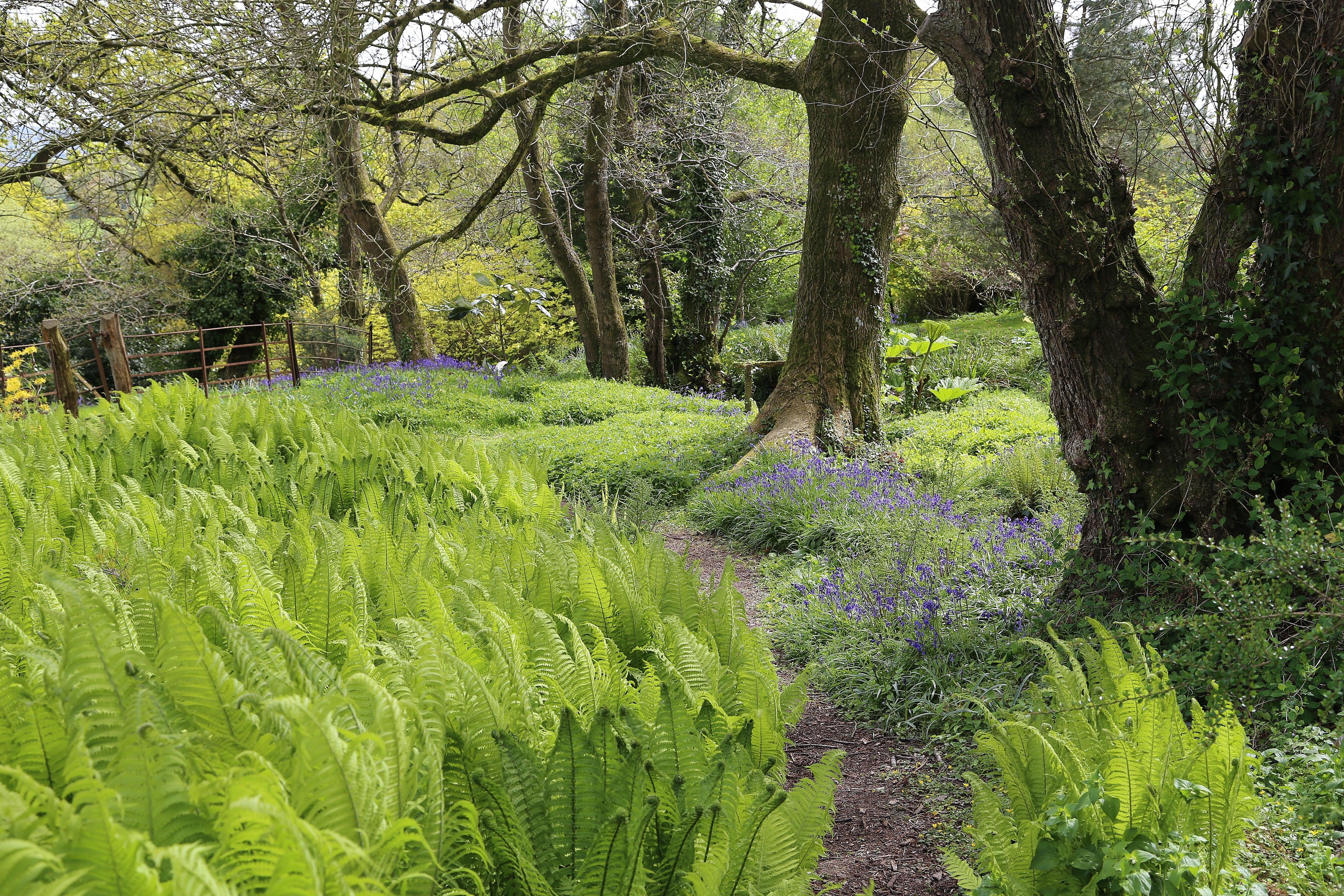 Beautiful Spring Gardens to Visit