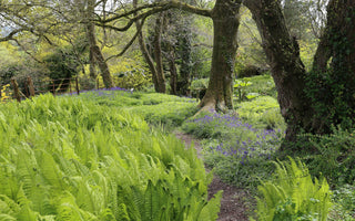 Beautiful Spring Gardens to Visit