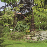 Garden arches, obelisks and arbours and climbing plants to grow on them
