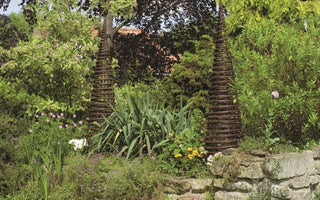 Garden arches, obelisks and arbours and climbing plants to grow on them