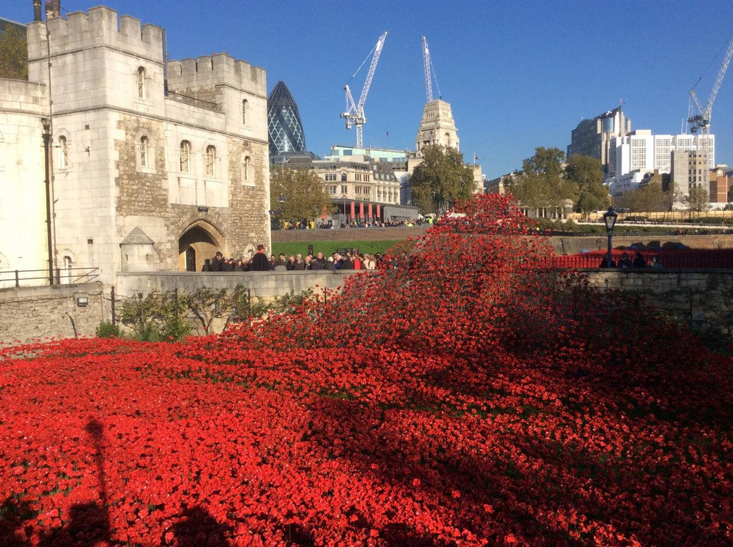 Poppies at the Tower: Blood Swept Lands and Seas of Red