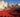 Poppies at the Tower: Blood Swept Lands and Seas of Red