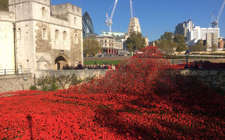Poppies at the Tower: Blood Swept Lands and Seas of Red