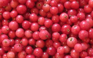 Fruit for little gardens