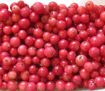 Fruit for little gardens