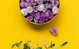 Edible Flowers Guide: The Ultimate List for the UK