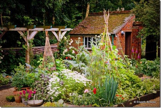 Start Growing Your Own Vegetables