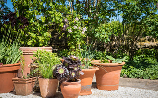 Design Stunning Container Gardens with Chris Beardshaw