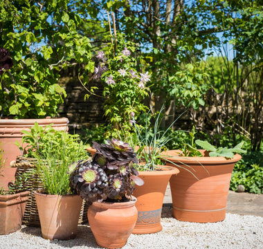 Design Stunning Container Gardens with Chris Beardshaw