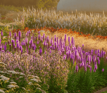 Discovering the Art of Piet Oudolf with Learning with Experts