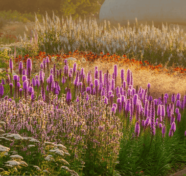 Discovering the Art of Piet Oudolf with Learning with Experts