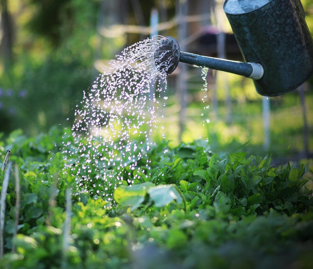 Earn your rhs certificate with learning with experts