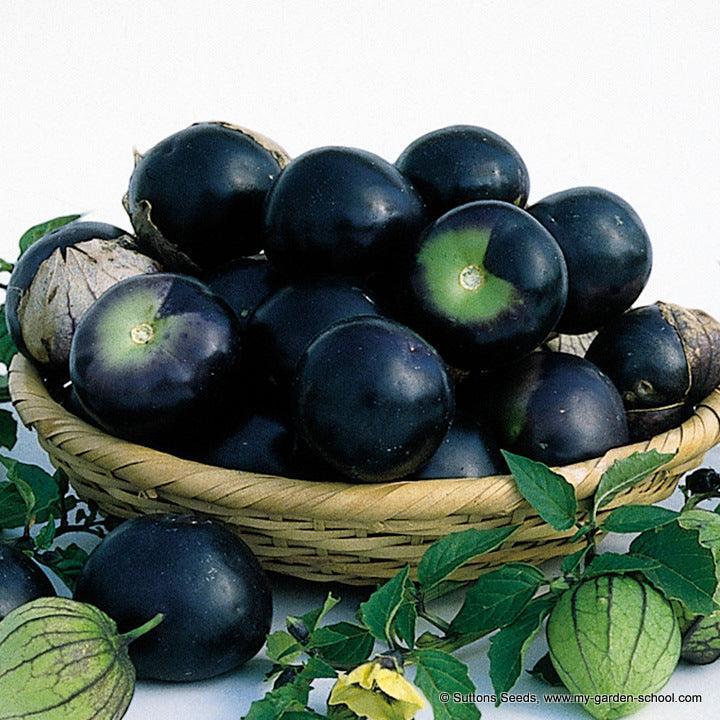 James Wong's Home Grown Revolution; Stimulate Your Taste Buds
