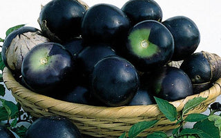 James Wong's Home Grown Revolution; Stimulate Your Taste Buds