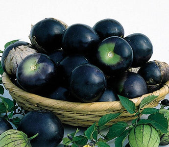 James Wong's Home Grown Revolution; Stimulate Your Taste Buds