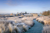 Secrets to using grasses beautifully in the garden