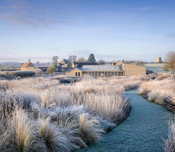 Secrets to using grasses beautifully in the garden