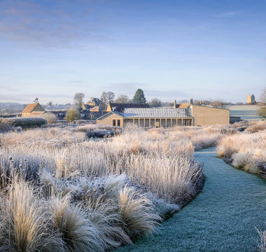 Secrets to using grasses beautifully in the garden
