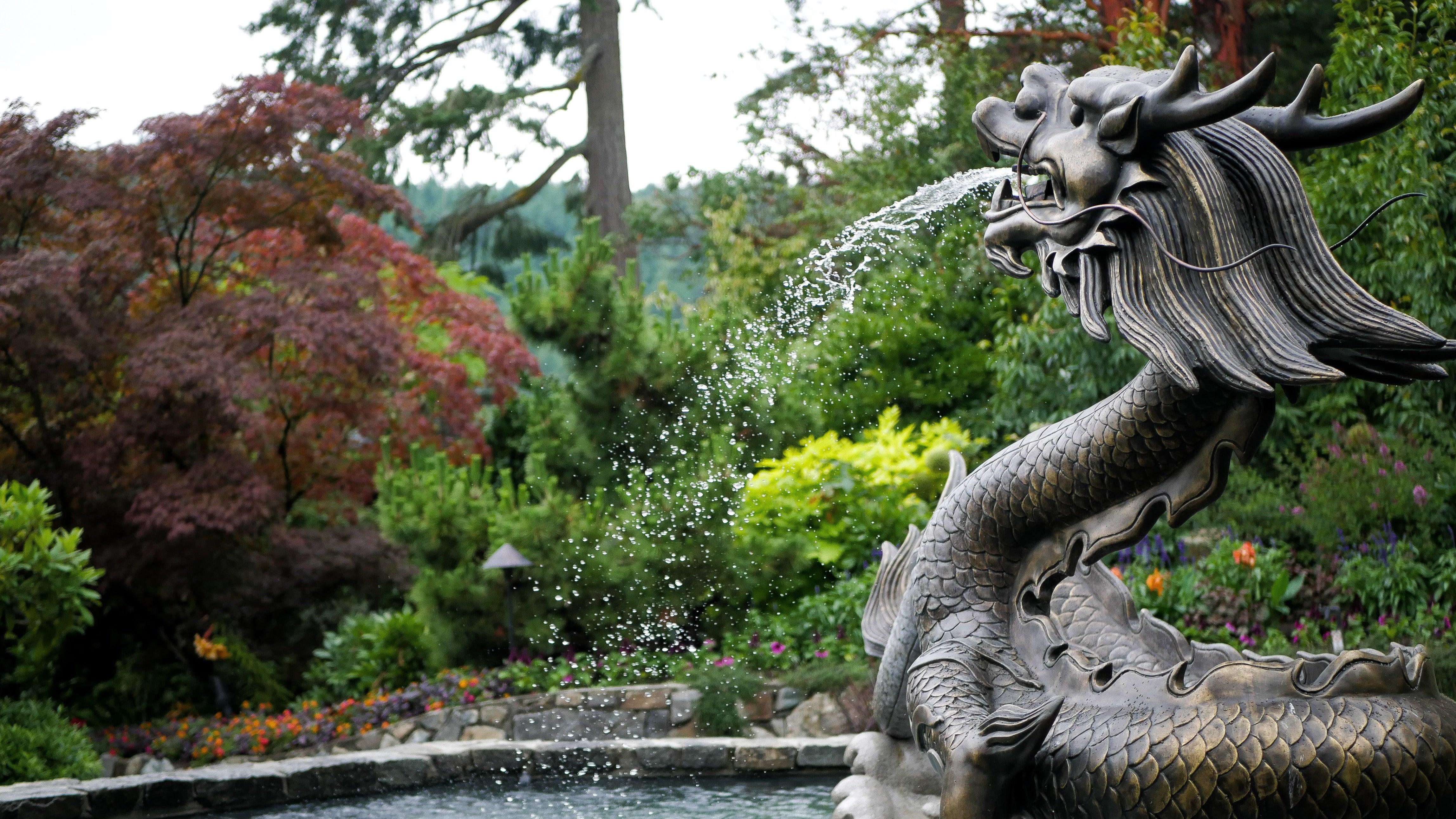 Choosing and placing a feature in your garden