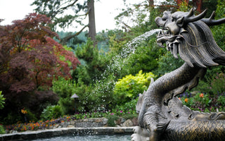 Choosing and placing a feature in your garden