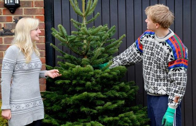 How to care for your Christmas tree