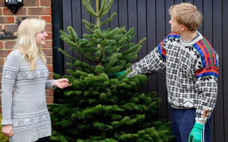 How to care for your Christmas tree