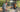 River Cottage Cooking Diploma: Behind the scenes