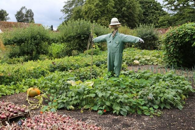 Gardens to visit: Hinton Ampner: A masterpiece of 20th Century Design