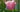 A Photographers Diary: Monet's Garden