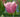 A Photographers Diary: Monet's Garden