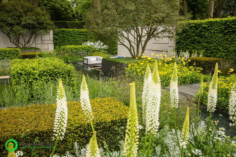 The Telegraph Garden The Chelsea Flower Show 2015